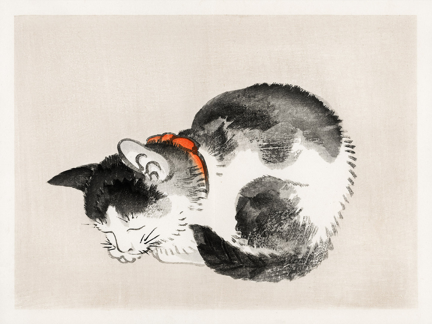 Sleeping Cat