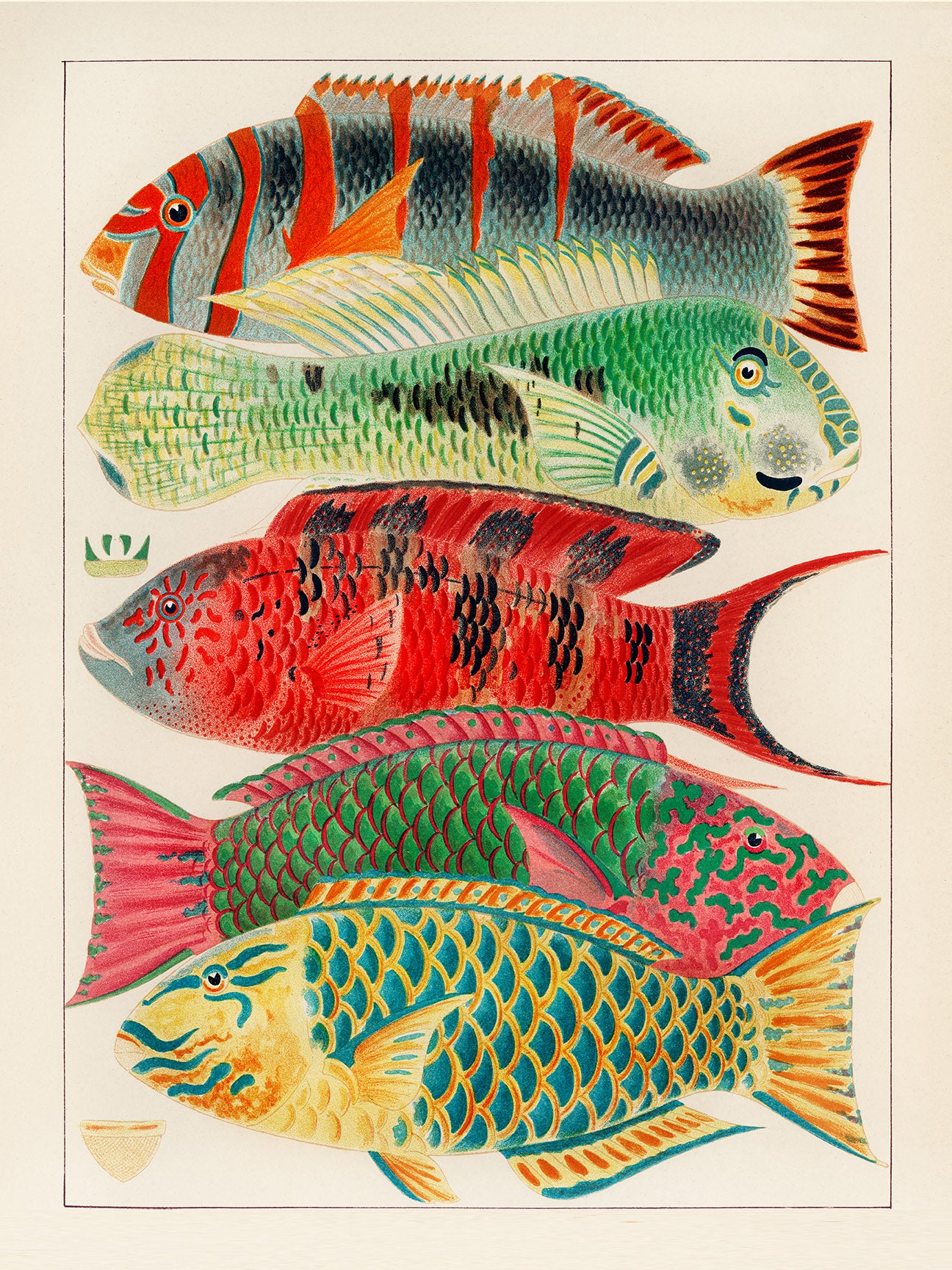 Great Barrier Reef Study, Fishes