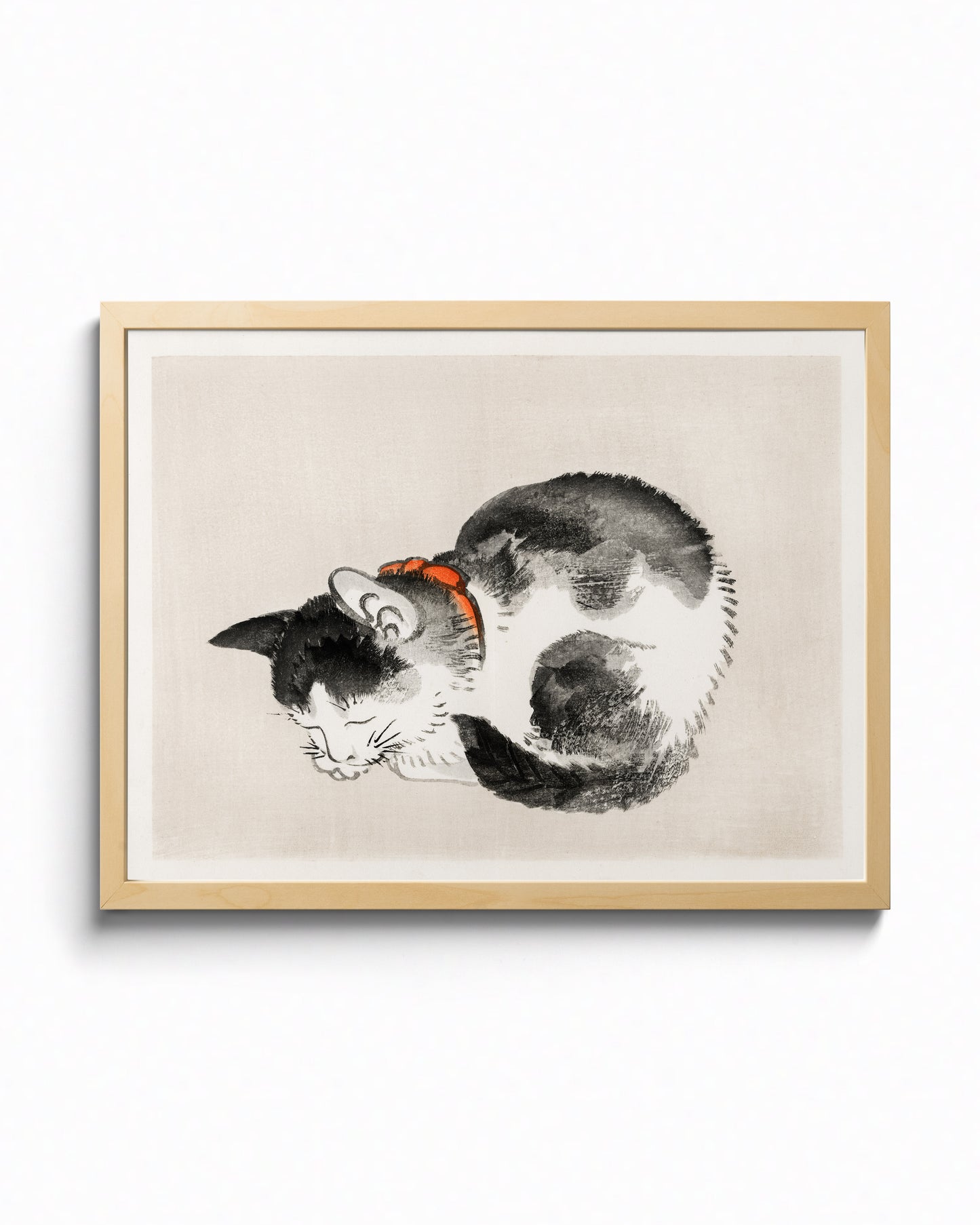 Sleeping Cat