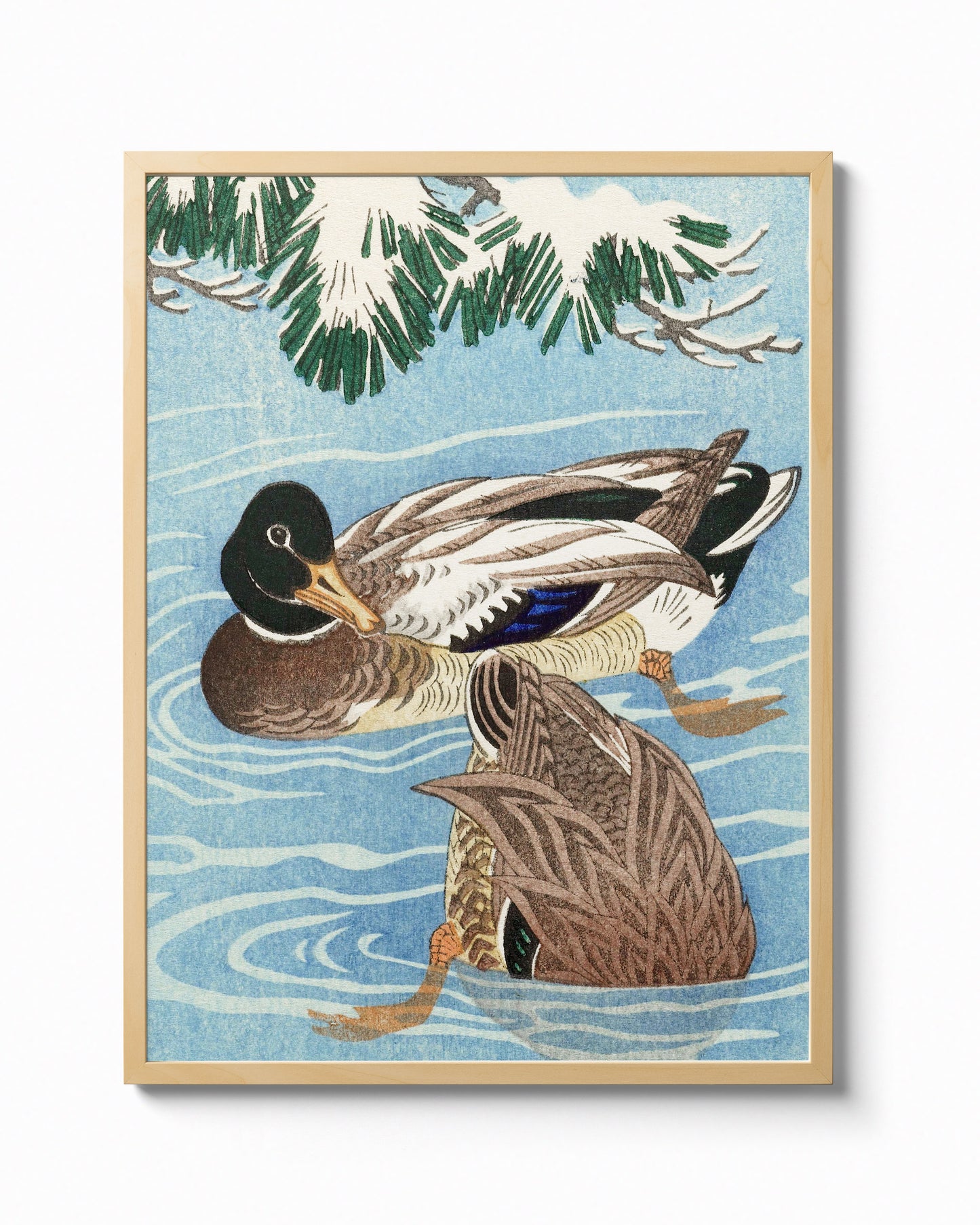 Ducks