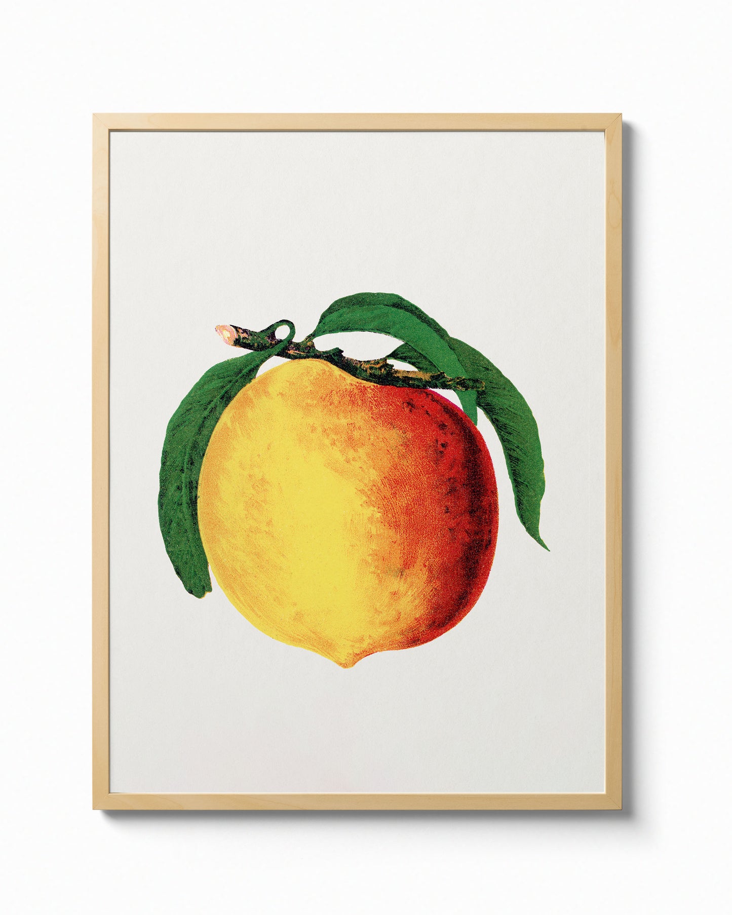 Peach 2